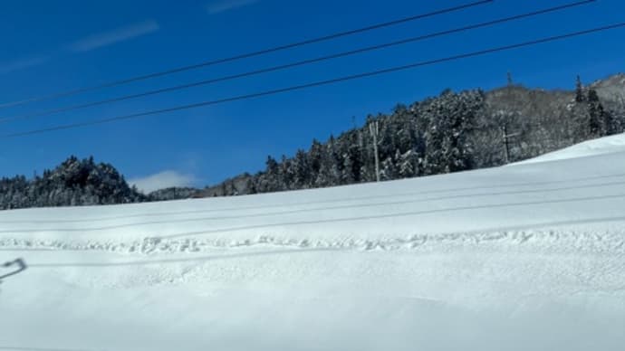 久しぶりの雪