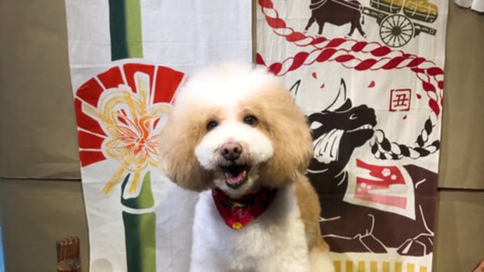 🎍今年もよろしくお願いします🎍