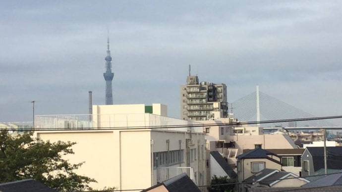 9月最終日、穏やかな朝ですね。(^o^)(^o^)
