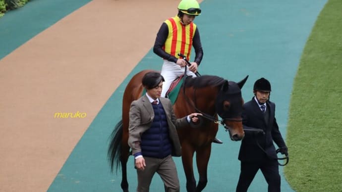 真冬の競馬