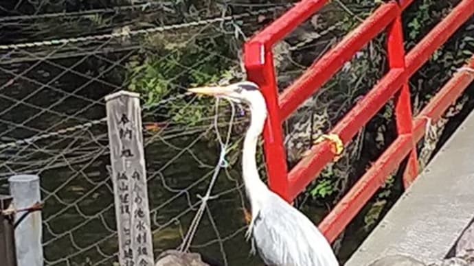 ココロ寄せる　より所じぶん