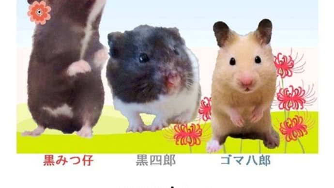 9月のカレンダーは、彼岸花とメロンバージョン!