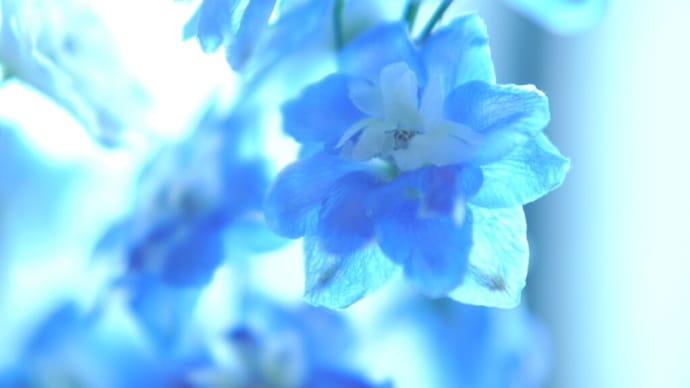 写真講座の話