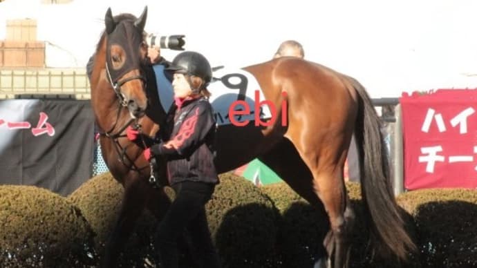 ハイチーズ 2018年1月14日中山1R3歳未勝利 杉原誠人騎手