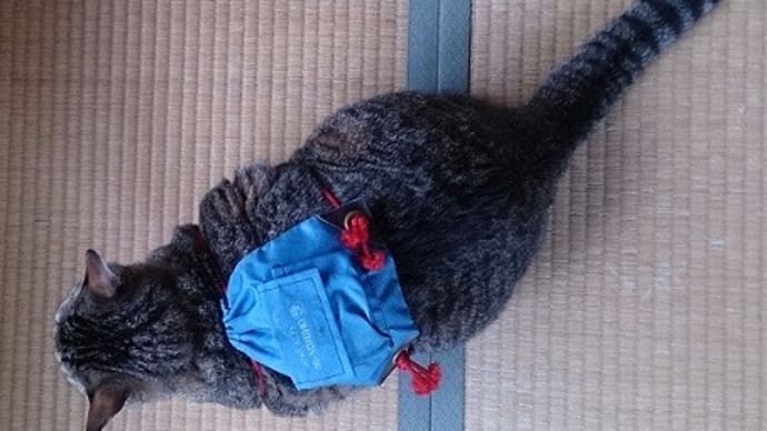さあ、ゴールデンウィークだ