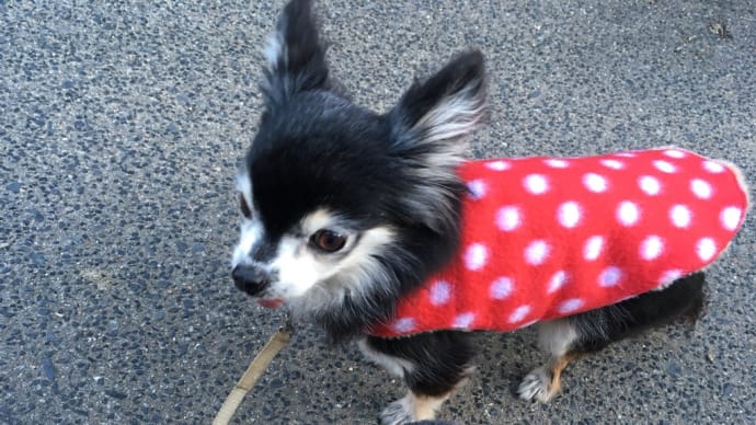 "IT“それを見たの?ほっちゃん