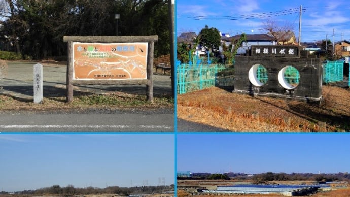 相模川「磯部頭首工」と「取水堰」と水鳥!!