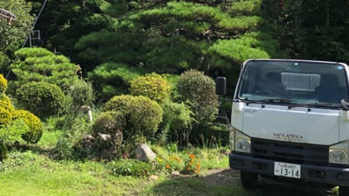 今週のお仕事