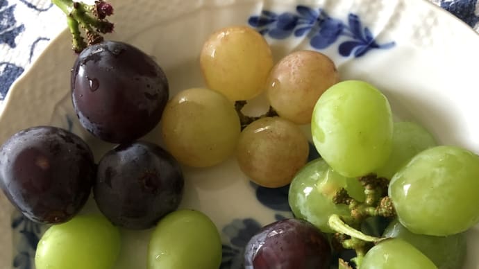 ブドウ食べ比べ。