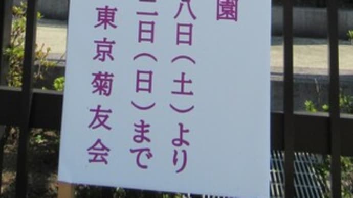 東京都大田区池上梅園 菊花展示会開催 10/28(土) 1日目、~11/12(日)/大田区東京菊友会