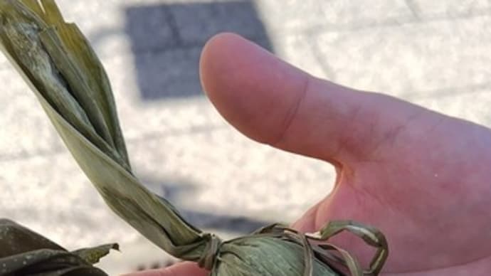 新潟地元の生の笹団子を食べてみた🍡笹の香りがサイコーだね🍡動画あり