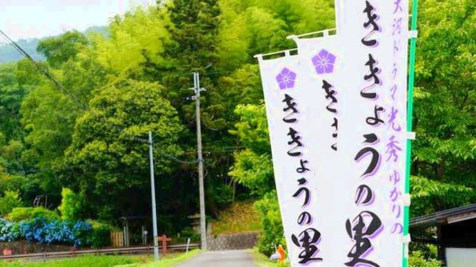 ききょうのさと・本日オープン