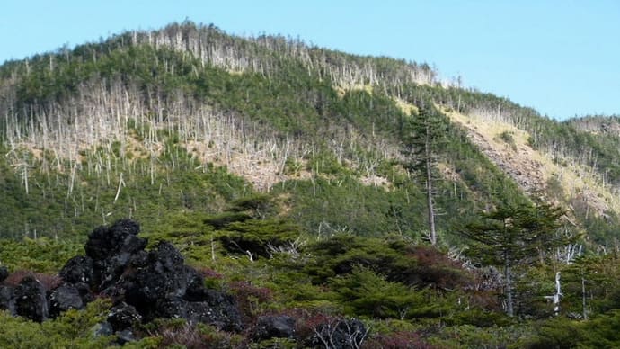 山の自然学・・・北八ヶ岳火山列で・・・縞枯山の不思議に感動