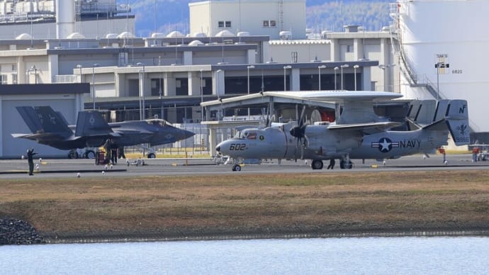 岩国基地 F35C