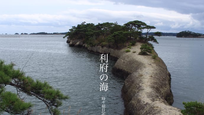 利府の海