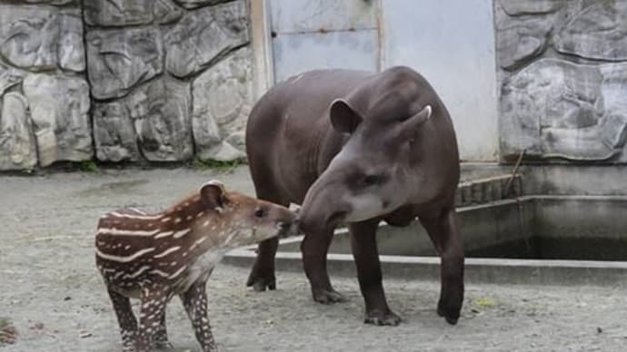 ユウキ君!元気に育ってね♡