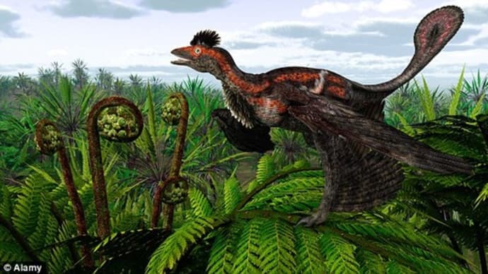 最大の羽毛恐竜、中国で化石発見