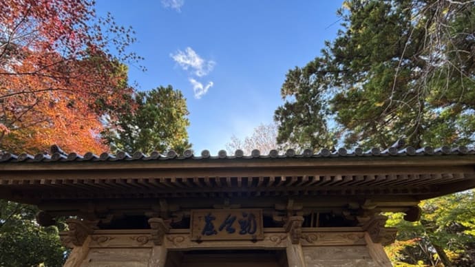 奥山半僧坊代参で・・・