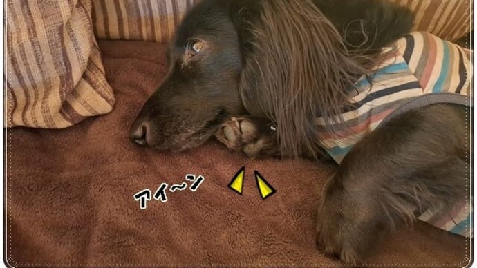 ちょっと違う