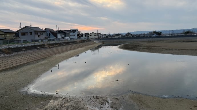 夕方散歩
