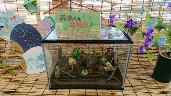 涼しい音に癒されて