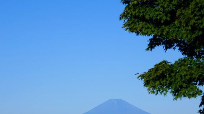 爽やかな秋晴れの朝散歩