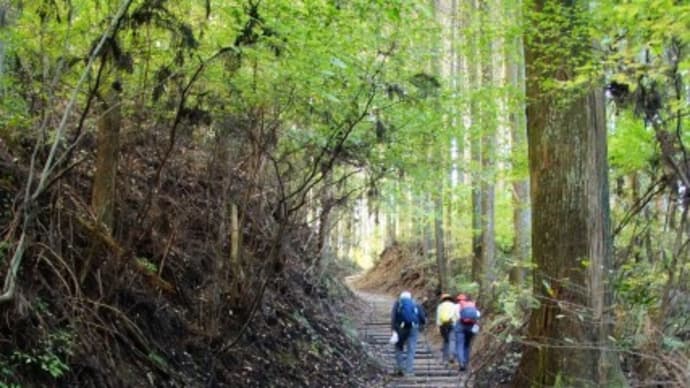 晴天の文化の日～岩湧山へ