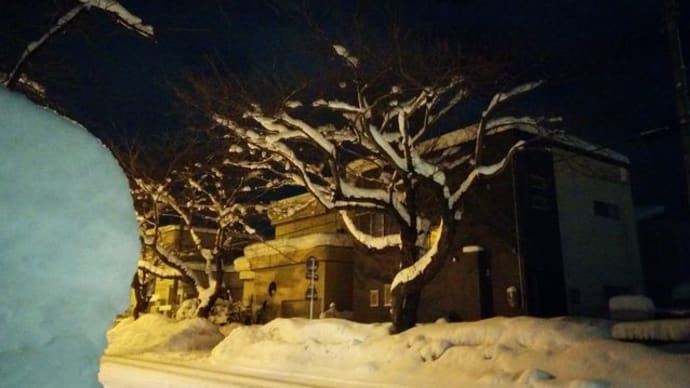 休日は、雪片付け
