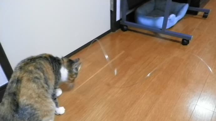 ビョンビョンするニャ♪…。