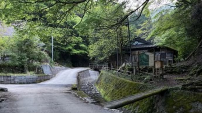 春の霊仙山