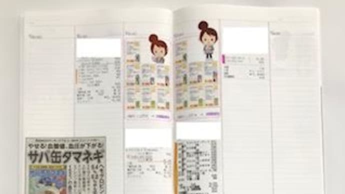 6月の家計簿(6月10日~7月9日)締めました