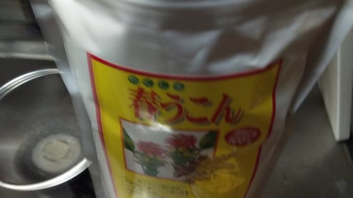 春ウコン 再度購入開始。