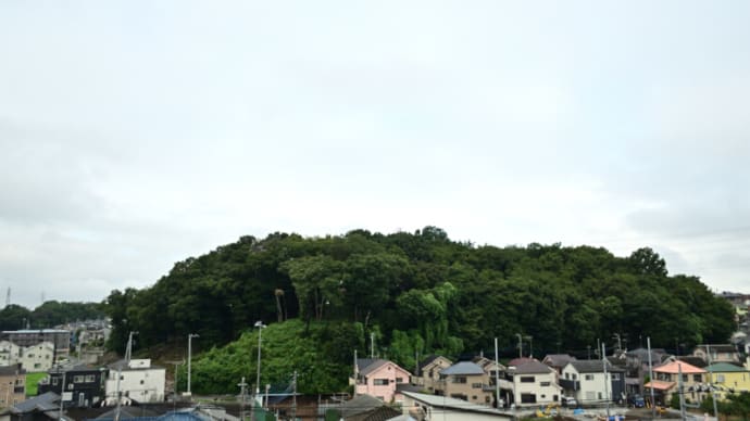 08月05日 涼しいはずなのですが。