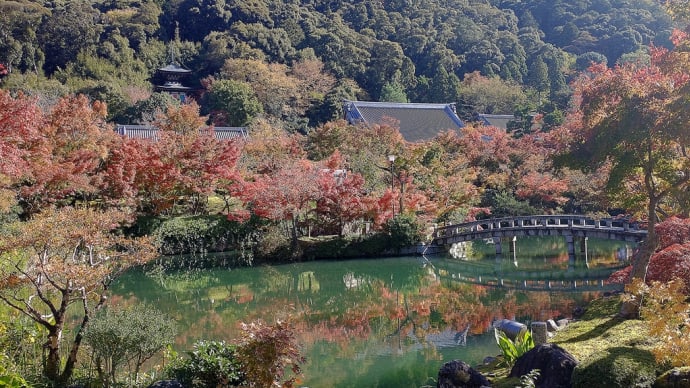 紅葉の永観堂 写真
