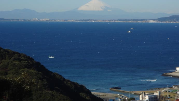 鋸山アドベンチャーコース