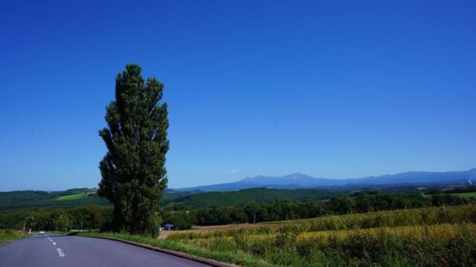 歌の風景その⑭ 愛は風のように