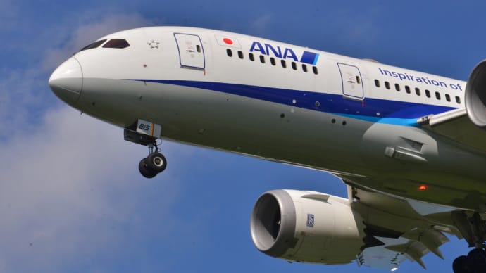 飛行機 216