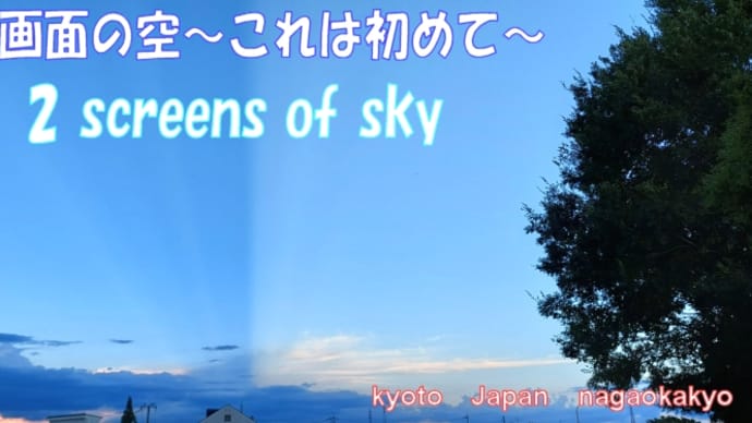 秋のコクワも水分補給💧~2 screens of sky暑い暑い京の秋・・・・国道草刈り