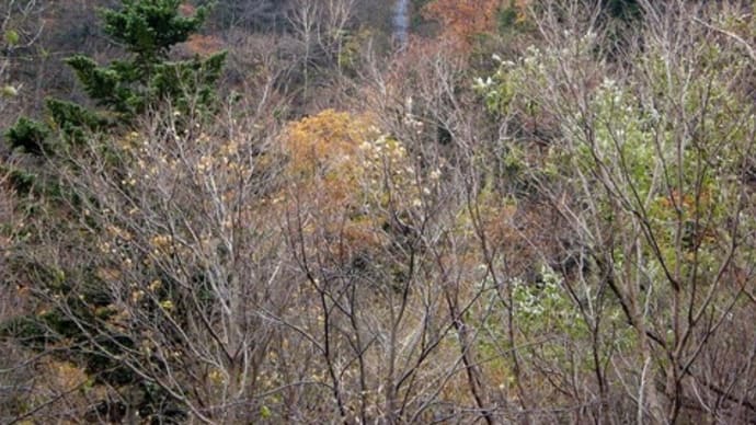 上川町の滝【白蛇の滝】再訪