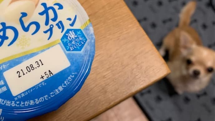 賞味期限にうるさいかあちゃんです。