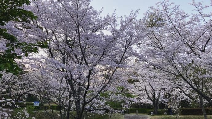 目がゴロゴロするのは、潤いが足りないから?