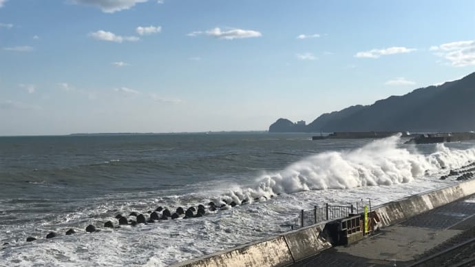 今日は台風かと思う天気でした。
