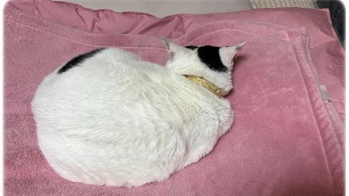 どんより時々雨パラパラの月曜日