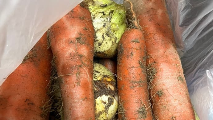 碧南でにんじん抜いて🥕新玉ねぎ抜いて🧅ーーー春休みのリフレッシュ③