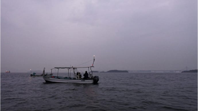 そんなんで釣れるんかー?!は残念ながら