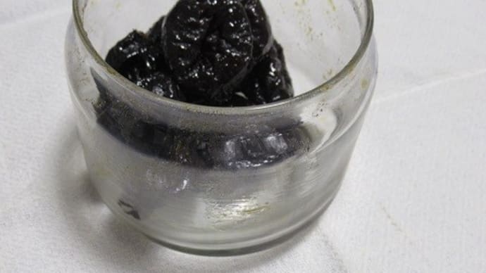 プルーンの日に、きょうの「捨」