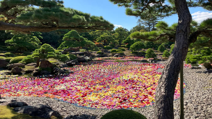 由志園とダリア