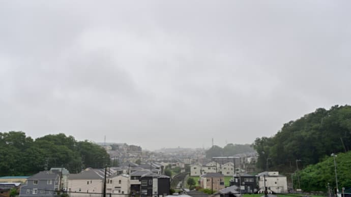06月12日 梅雨らしく今日も雨。