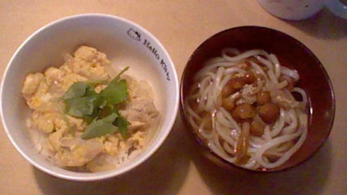 今日の晩御飯