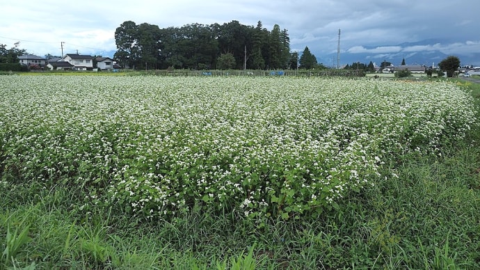 ★松本市郊外で見る秋風景 2020